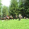 Конный тур