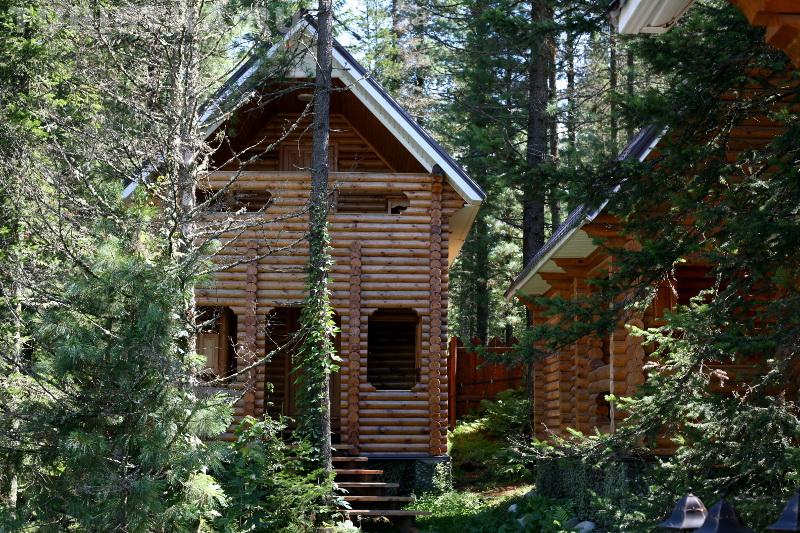 Иогач. Усадьба власовых телецкое. Усадьба “власовых-берег”. Усадьба лукоморье телецкое озеро. Власовых берег телецкое.