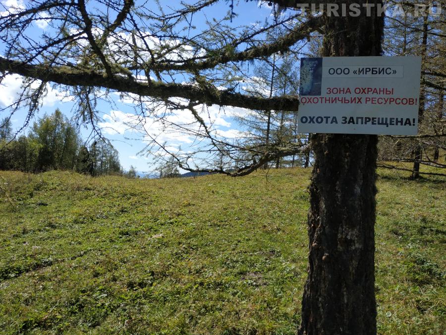 Чакырский перевал в Усть-Канском районе Республики Алтай