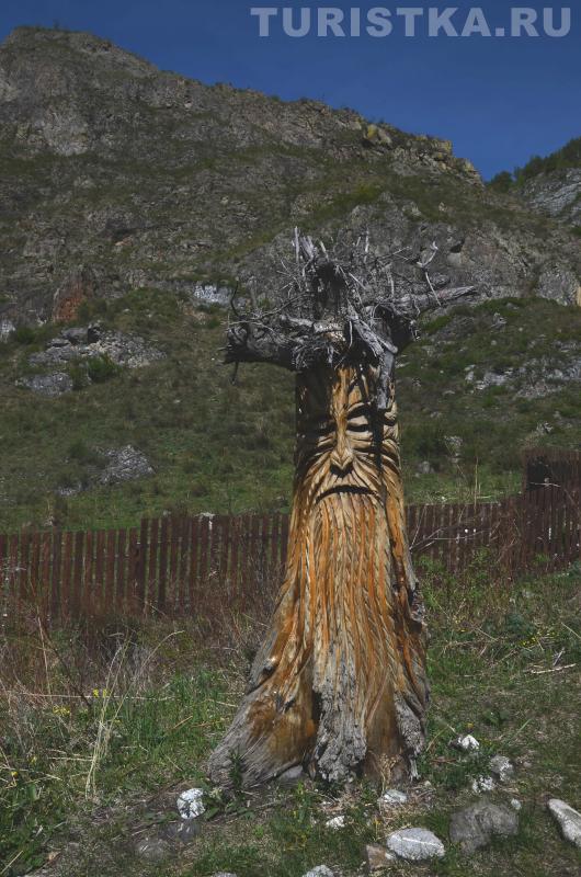 На входе в Урочище Чечкыш