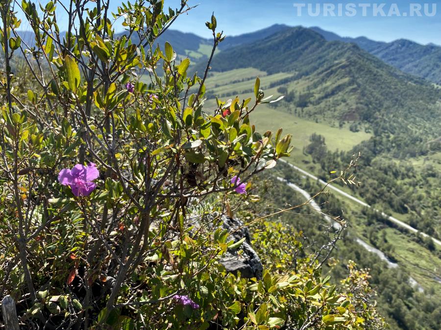Вид с горы Шаманка на Чуйский тракт и реку Сема