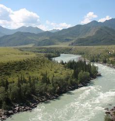 Река Катунь в районе Ильгуменского порога