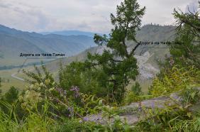 Отдых на Алтае : Старая дорога на перевал Чике-Таман : Вид со старой дороги на действующую дорогу на Чике-Таман