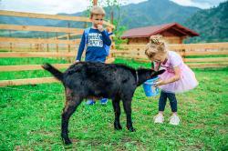 Горный Алтай : Отдых с детьми : Что посмотреть в районе Чемала : Контактный зоопарк 