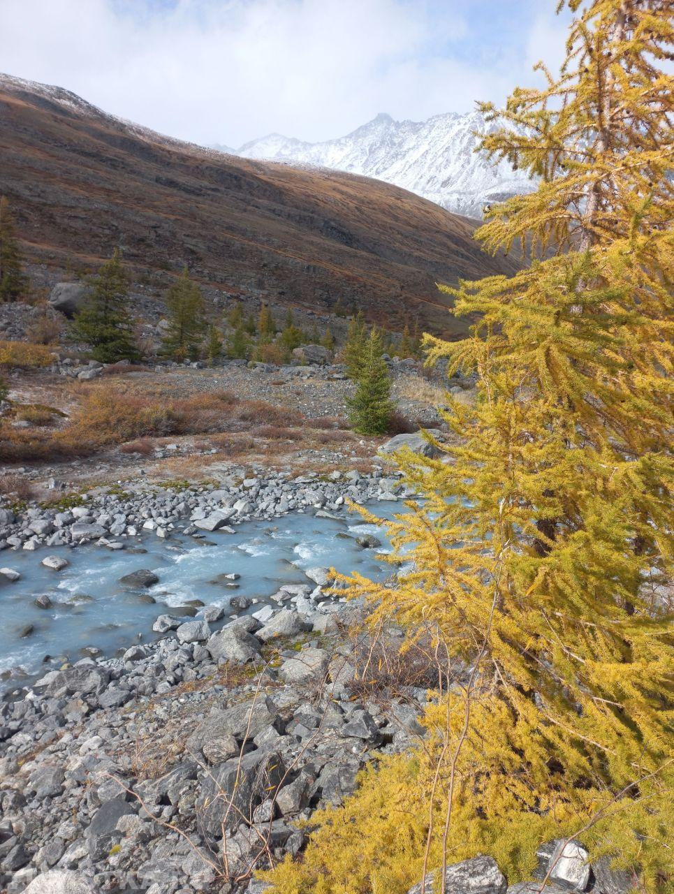 Золотая осень 2024. Река Талдура на пути к леднику