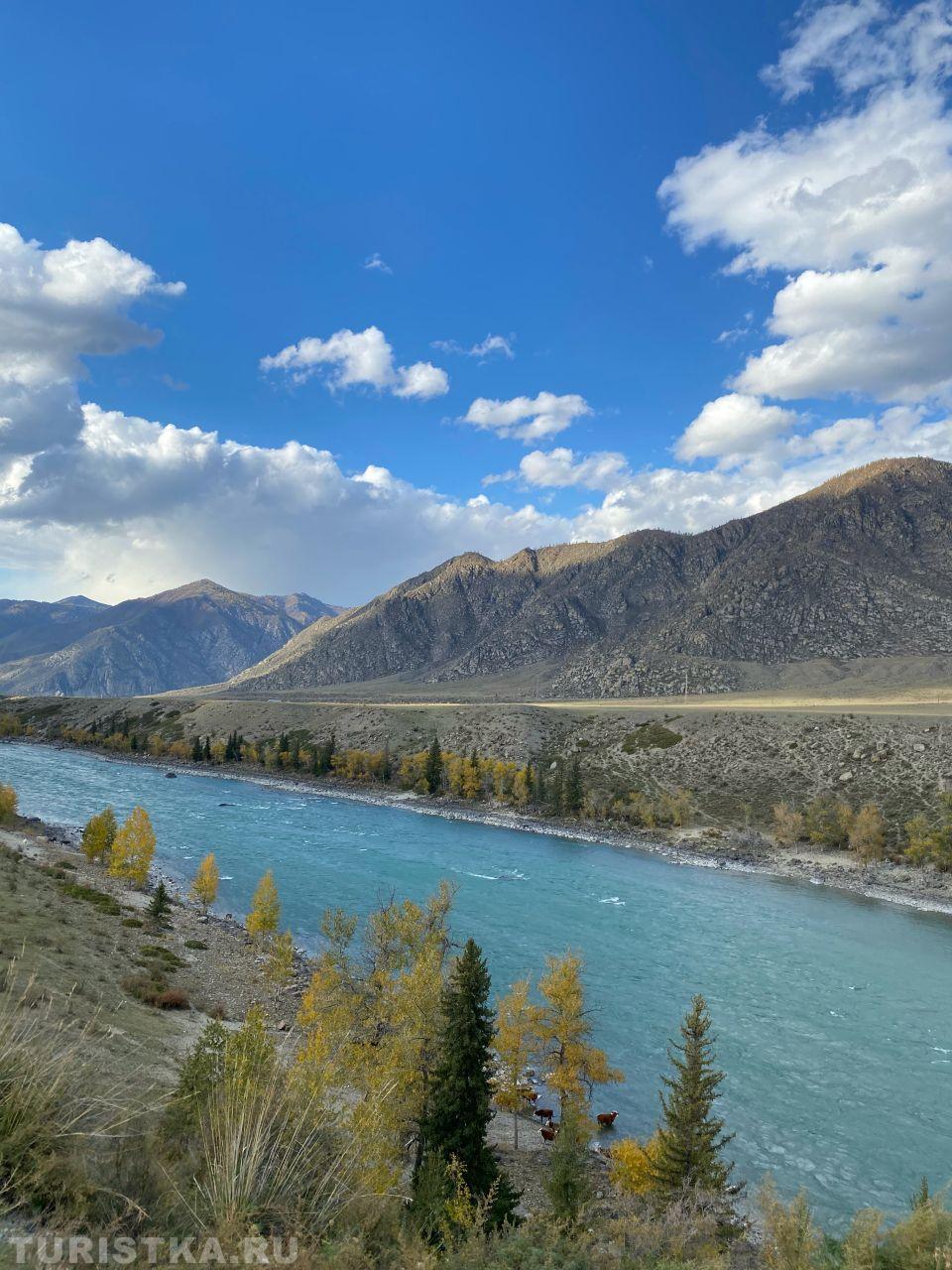 Золотая осень 2024. Онгудайский район