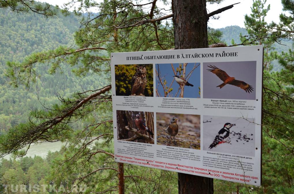 Информационная табличка около Смотровой площадки