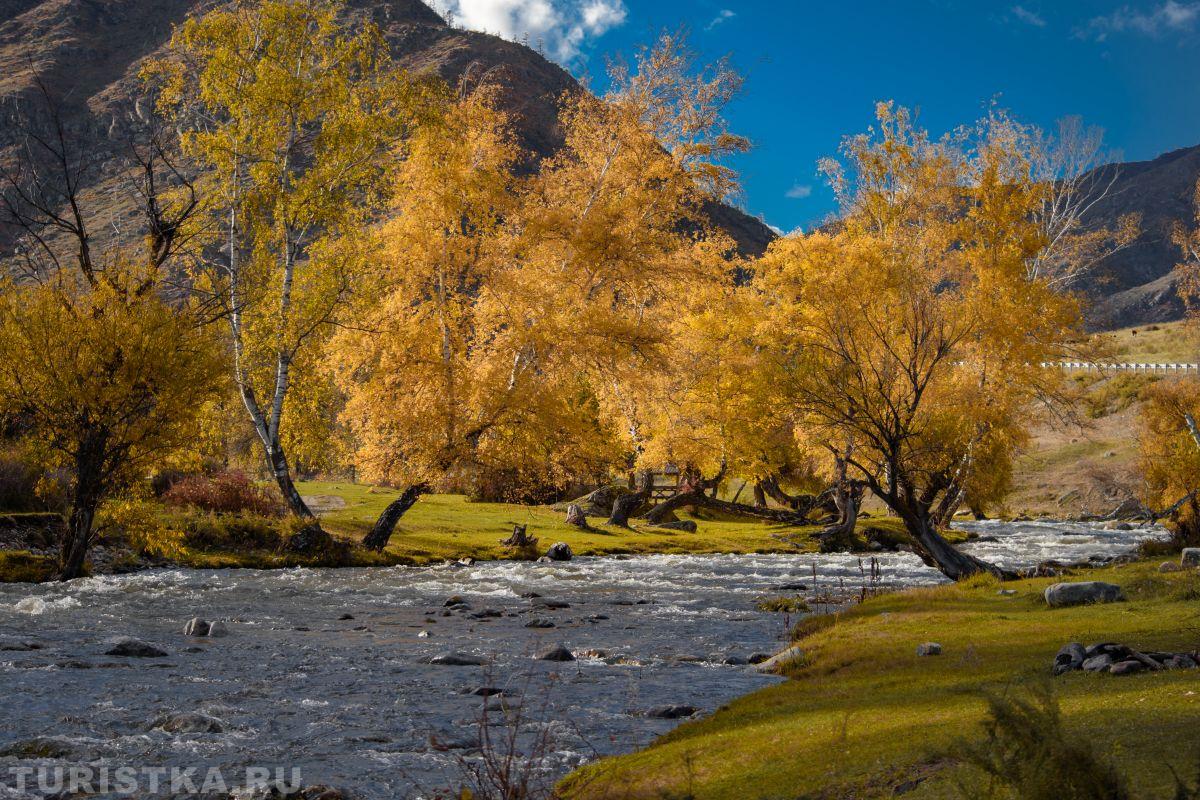 Алтай. Осень на Малом Яломане 24.09.2025