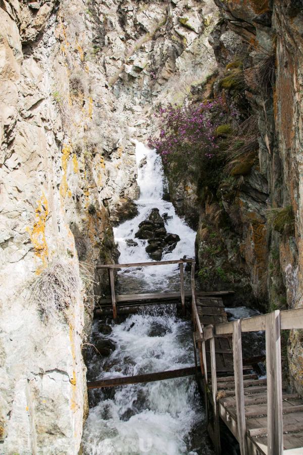 Чечкыш водопад горный алтай фото