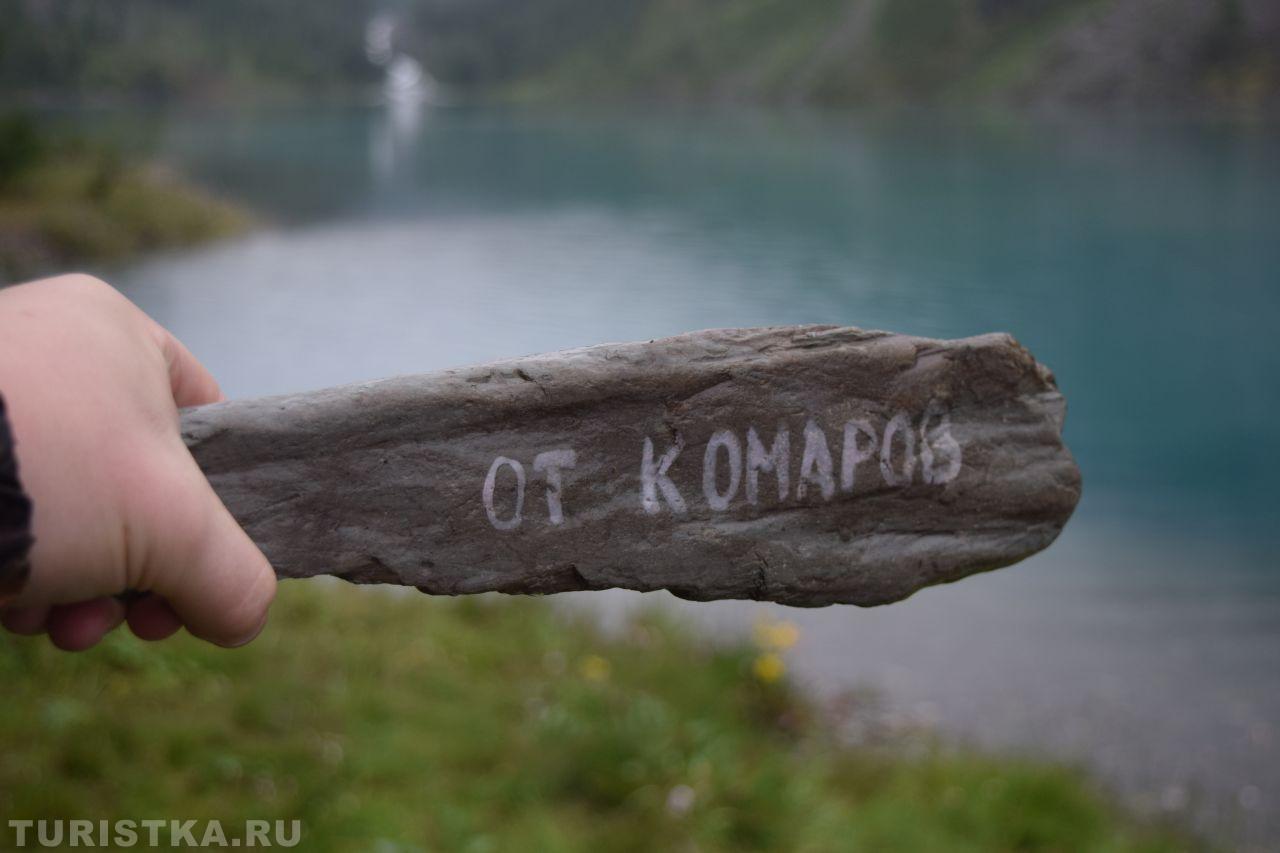 "Комаров мы не боимся, Если надо - защитимся!", На берегу Шавлинского озера, 2021г.