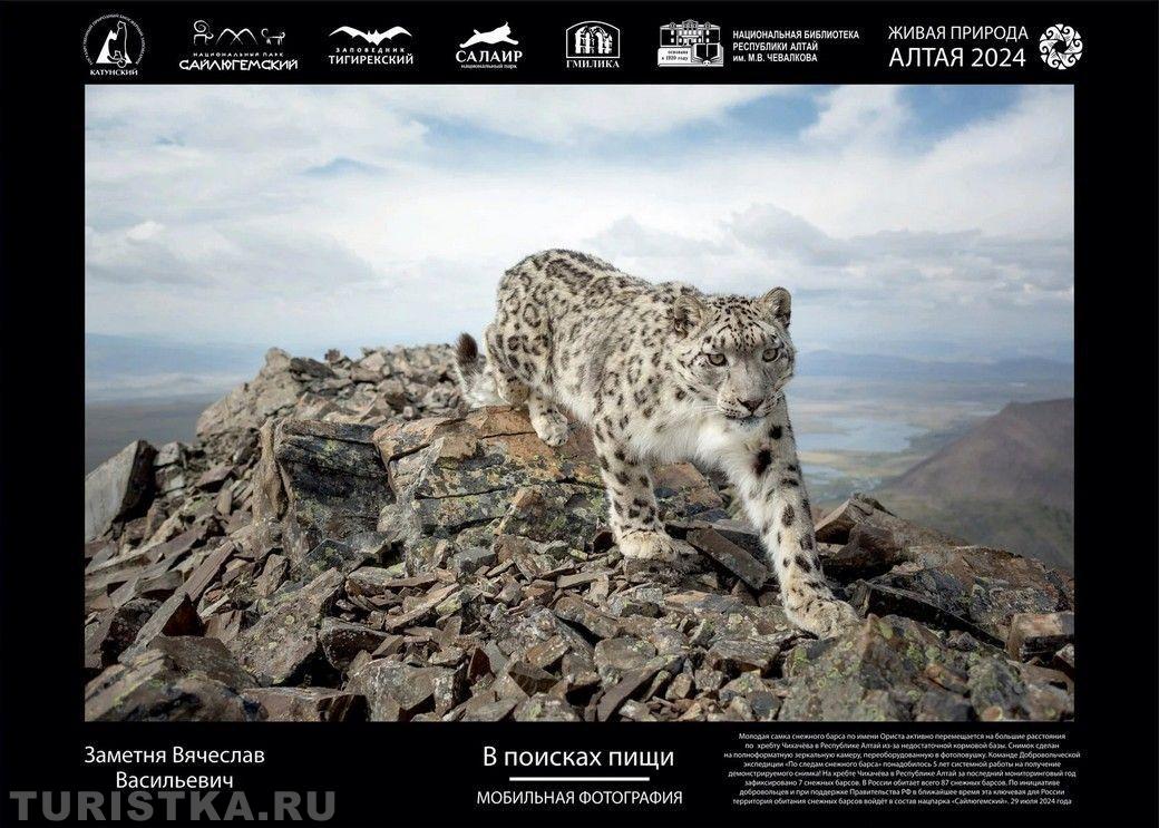 XV Юбилейная фотовыставка "Живая природа Алтая"	