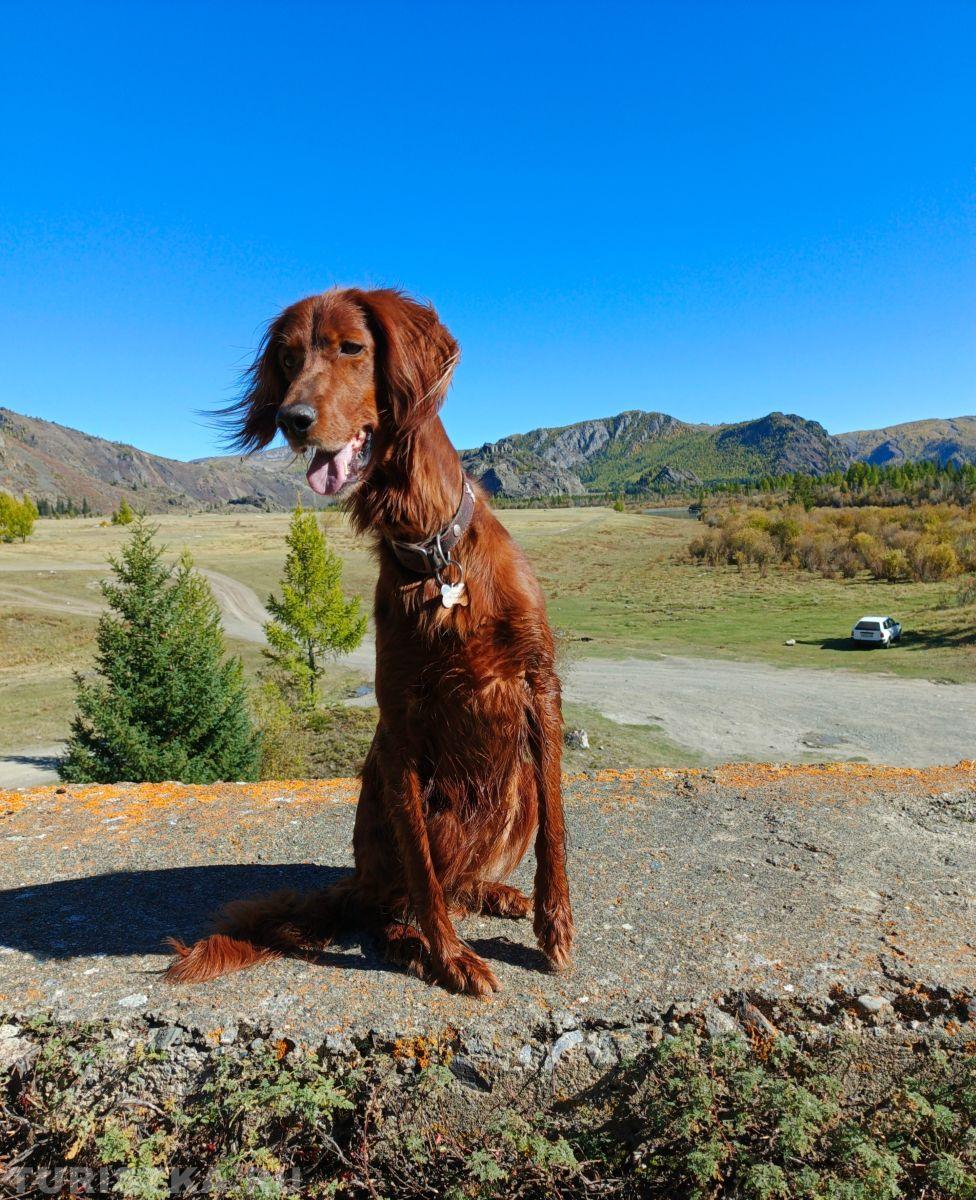 Алтай. Окрестности Акташской ГЭС.
