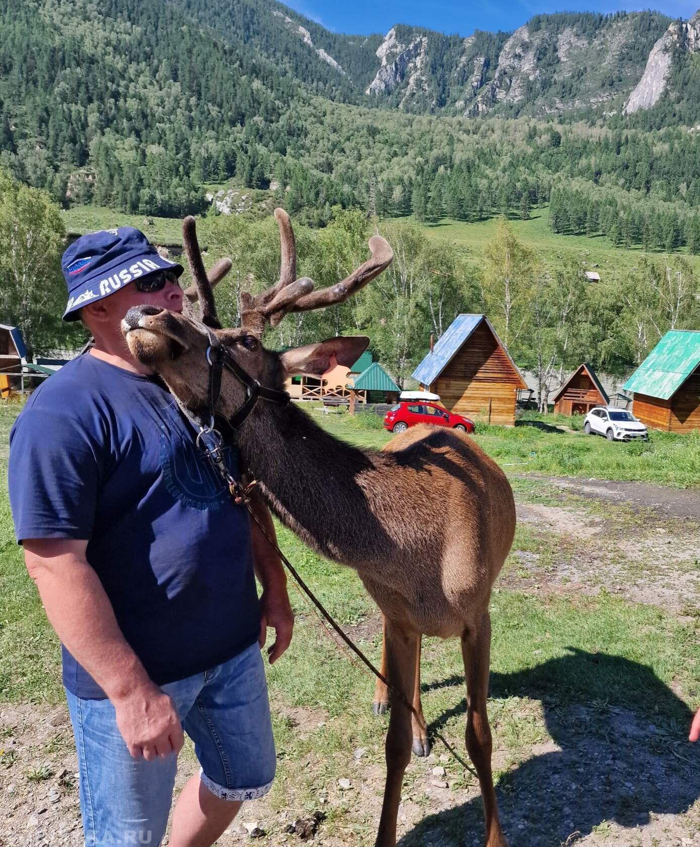 "А ты меня точно любишь?", фото сделано в 2023 году в долине реки Чулышман и на Чуйском тракте