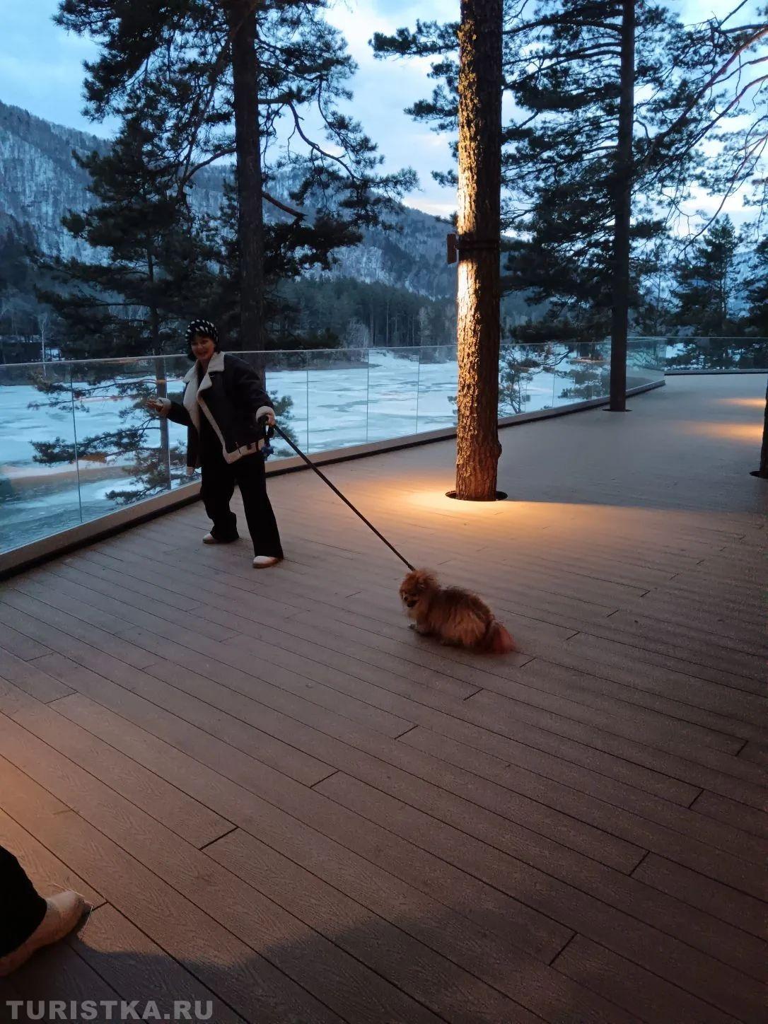  "Идём со мной, там столько вкусного!", терраса на базе Шамбала 26.03.2026.  Бирюзовая Катунь. 