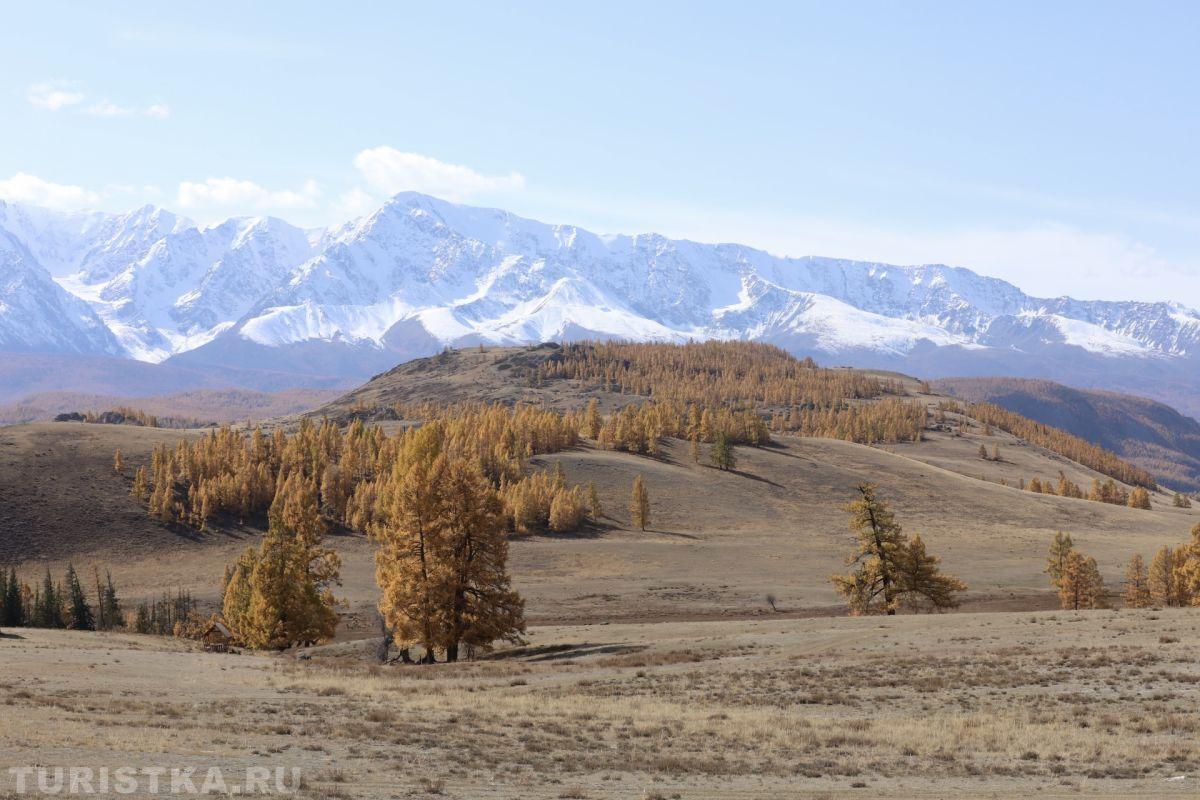Алтай. Курай.