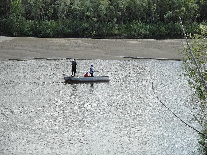 Погода в акутихе