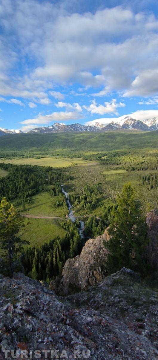 Лиственницы на Алтае