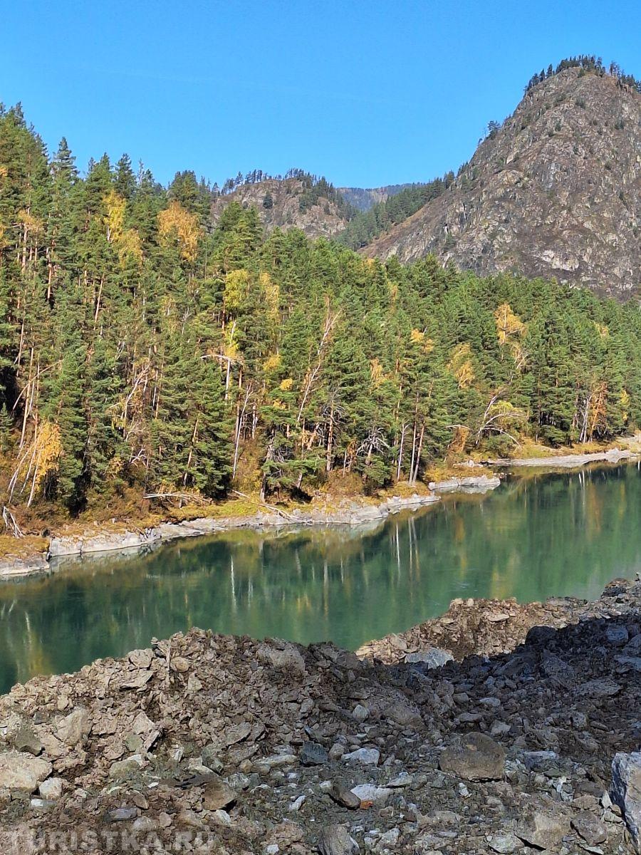 Алтай. По дороге в Чемал 05.10.2024