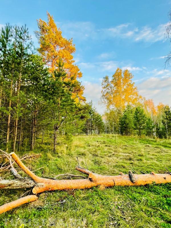 Алтай Золотая осень на празднике "Повалиха"