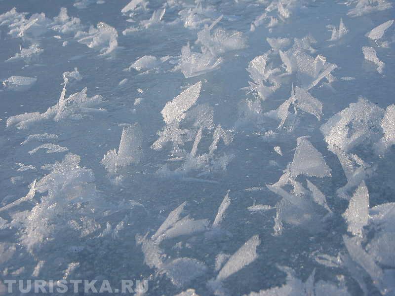 Ледяные бабочки на Катуни