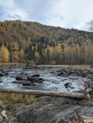 Река Кумир 03.10.2026