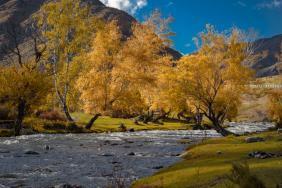 Алтай. Осень на Малом Яломане 24.09.2025