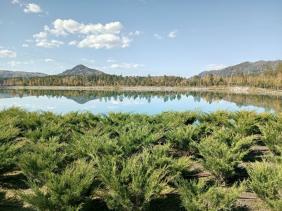 Алтай. Зона отдыха Манжерок