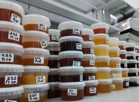 Апифорум Алтай - 2025