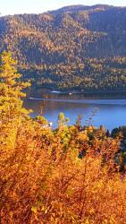 Алтай. Озеро Телецкое, 26.09.2025  Автор: Ольга Марай