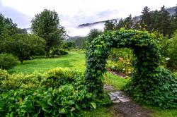 Отдых на Алтае : Ботанический сад в селе Камлак