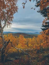 Алтай. Вид с горы Бобырган 06.10.2024 Автор: Яна Горбунова