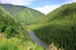 Обзорный вид на реку Кокса. Усть-Коксинский район.