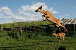 База Искра Солонешенский район Алтай.