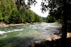 Реки Река Кумир
