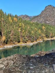 Алтай. По дороге в Чемал 05.10.2024