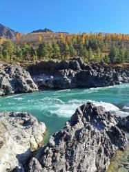 Алтай. Ороктойский мост 05.10.2024