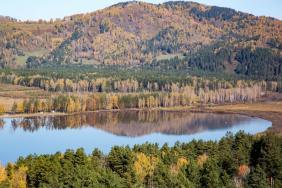 Подъемник манжерок горный алтай фото