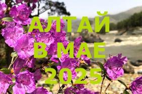 Алтай в мае 2025