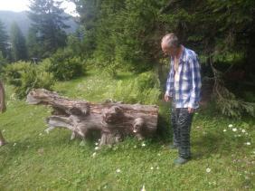 Однако знатная пасть!,  25.07.2020г. на Телецком озере - по пути к Серебряному ручью 