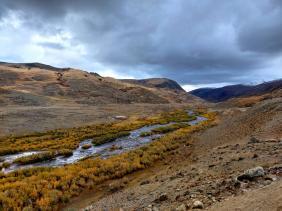 Золотая Осень 2023 - По дороге на плато Укок
