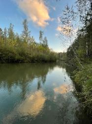 Золотая осень на Алтае на Повалихе