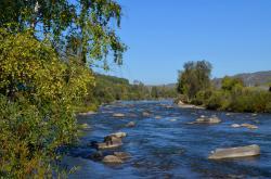 Реки Алтая : Река Ануй 