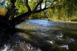 Реки Алтая : Река Ануй : Течение реки