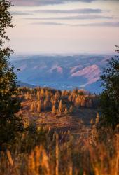 Алтай. Вид с горы Сердцево на с.Чинета, 14.09.2025  Автор: Марина Селезнева