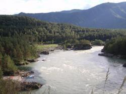 Горный Алтай : Чемальский район : Слияние Чемала и Катуни : Вид на слияние с козьей тропы