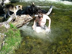 Горный Алтай : Около с. Купчегень на Чуйском тракте : Купанию в ледяных горных реках сочувствуют даже собаки