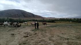 ...- Вы из какого общества, ребята? - Трудовые резервы - А что, Динамо бежит? -Все бегут!....