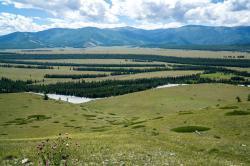 Горный Алтай : Кош-Агачский район, Степь Самаха : Степь Самаха с перевала Верблюжья шея