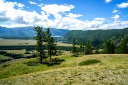 Горный Алтай : Кош-Агачский район, Степь Самаха : Вид на степь Самаха с перевала Верблюжья шея