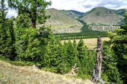 Горный Алтай : Кош-Агачский район, Степь Самаха : Вид с верхней террасы на нижнюю долину
